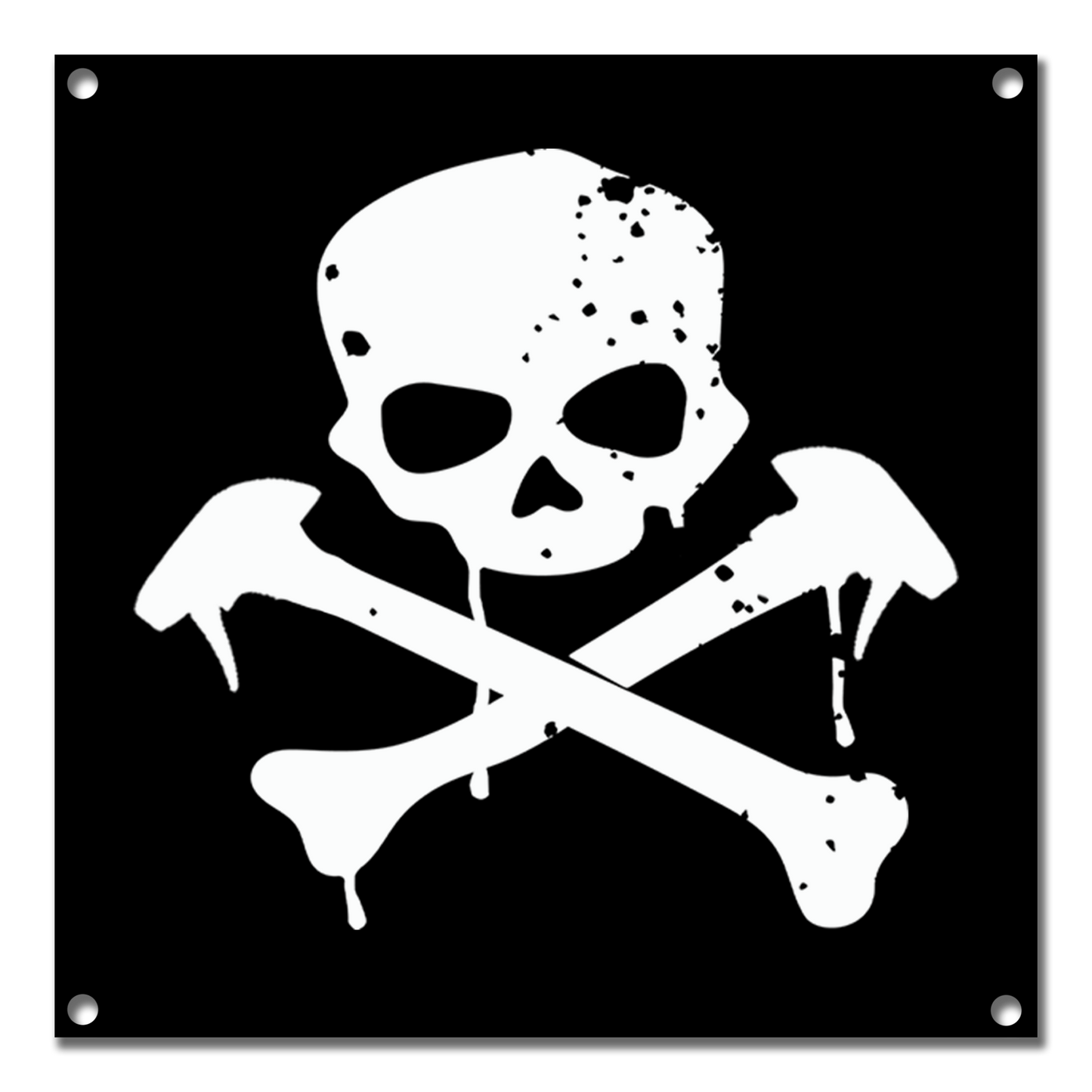 Skull & Bones Banner