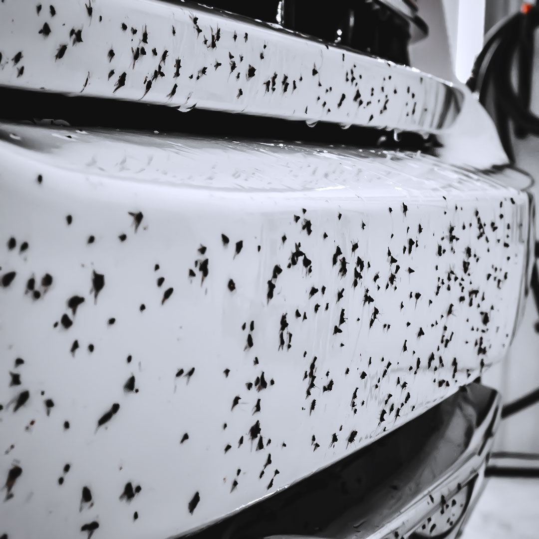 Jax Wax Bug Zapper Bug Remover for Cars Car Bugs