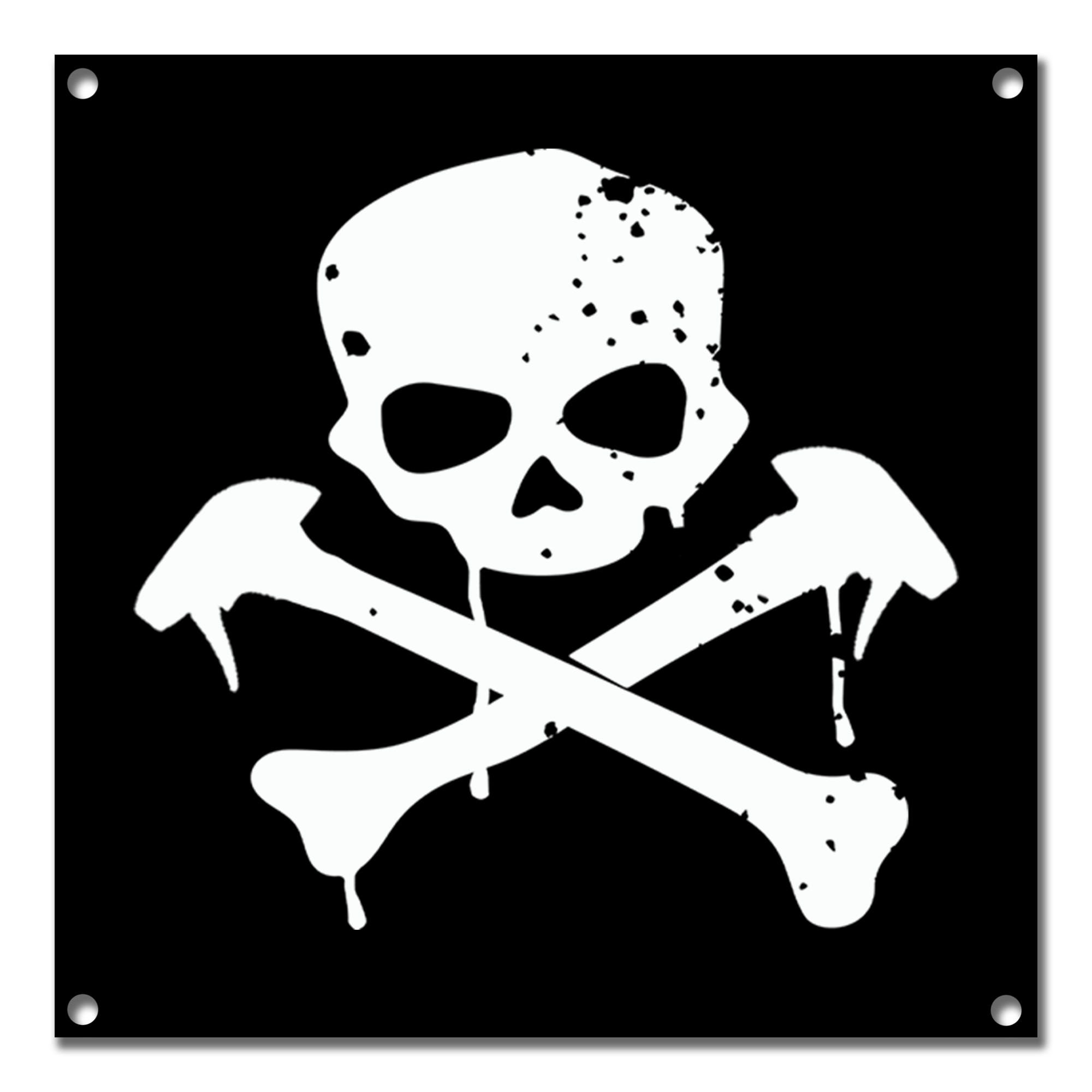 Skull & Bones Banner
